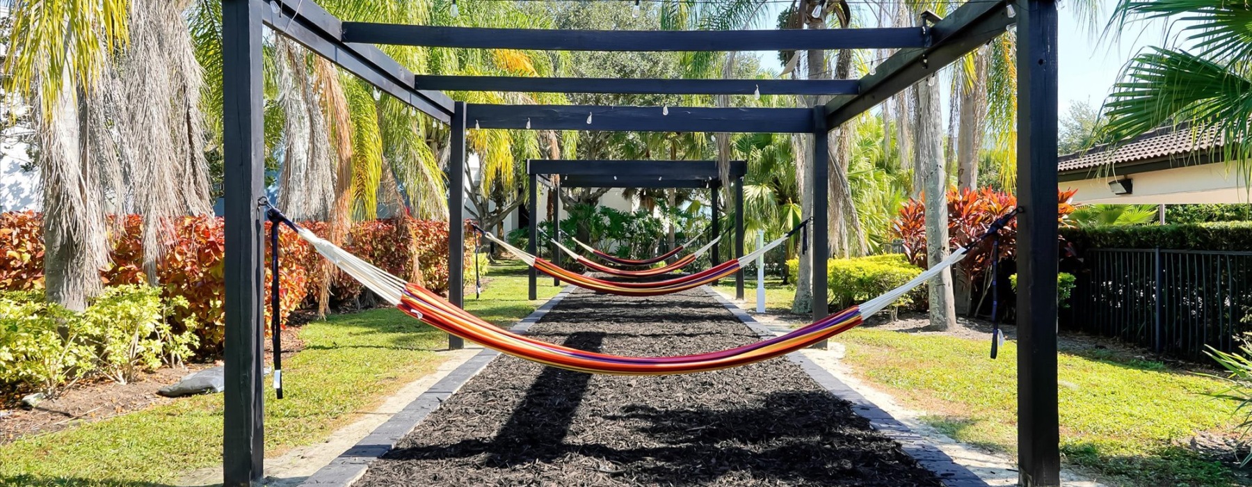 a row of hammocks
