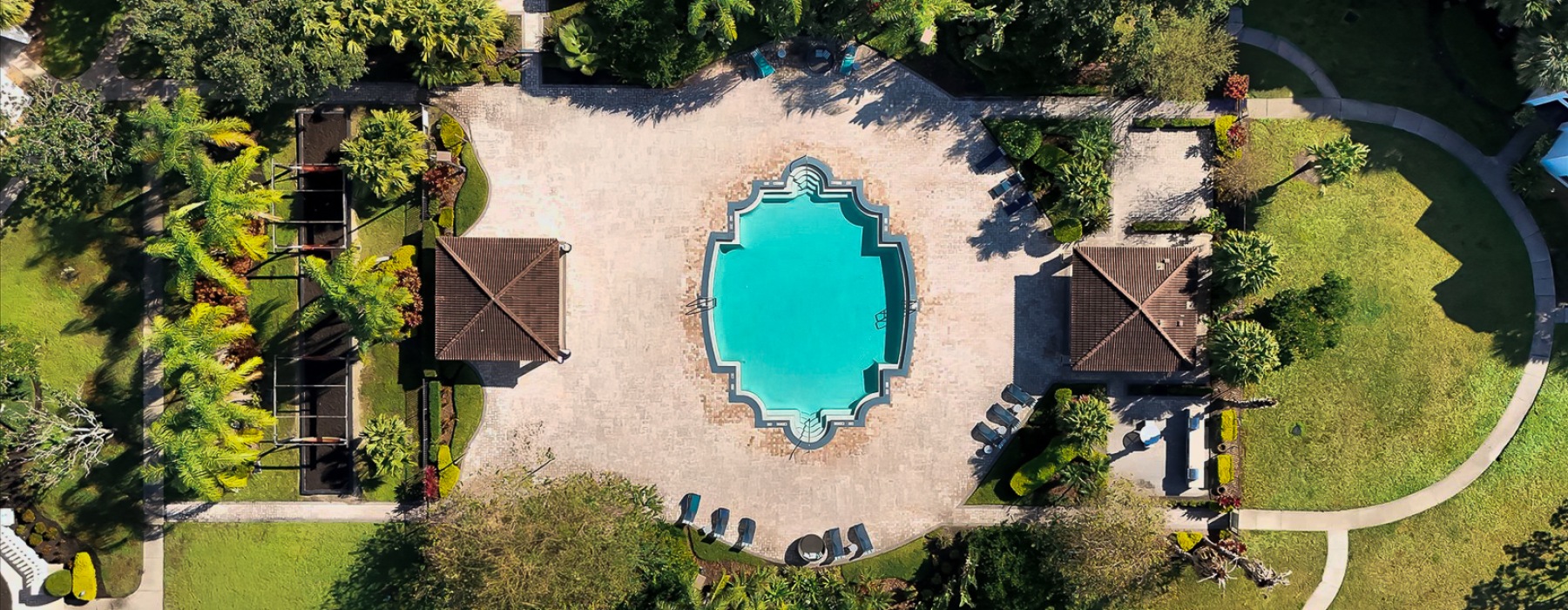 pool surrounded by brick surface with trees viewed from overhead