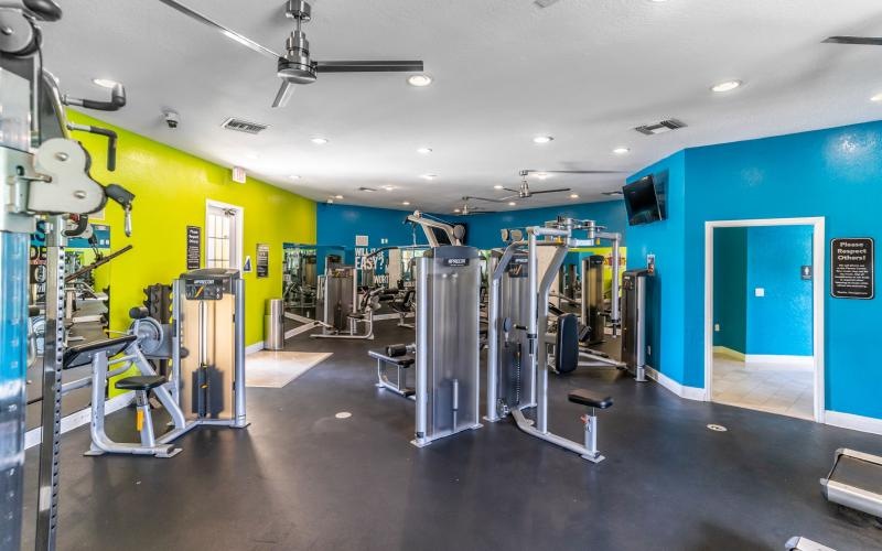 a large room with blue walls